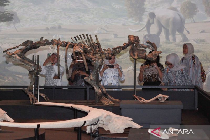 Harga Tiket Naik, Museum Nasional Masih Yakin Ramai