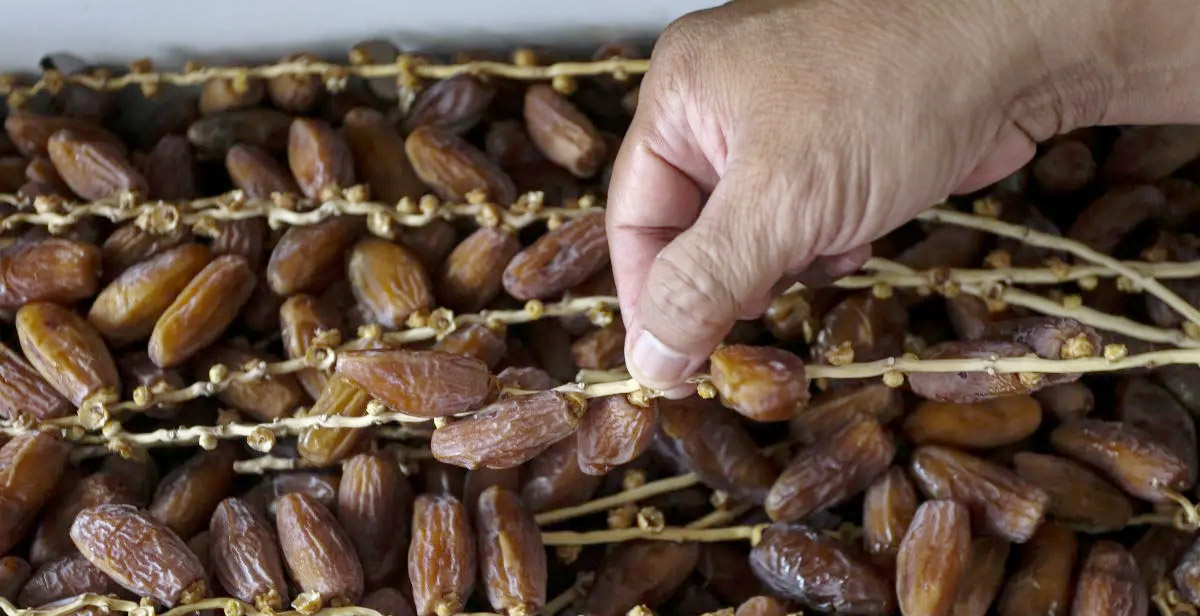 Puasa Ramadan Sebentar Lagi! Kapan Waktu yang Tepat Makan Kurma? Ini Saran Ahli Gizi