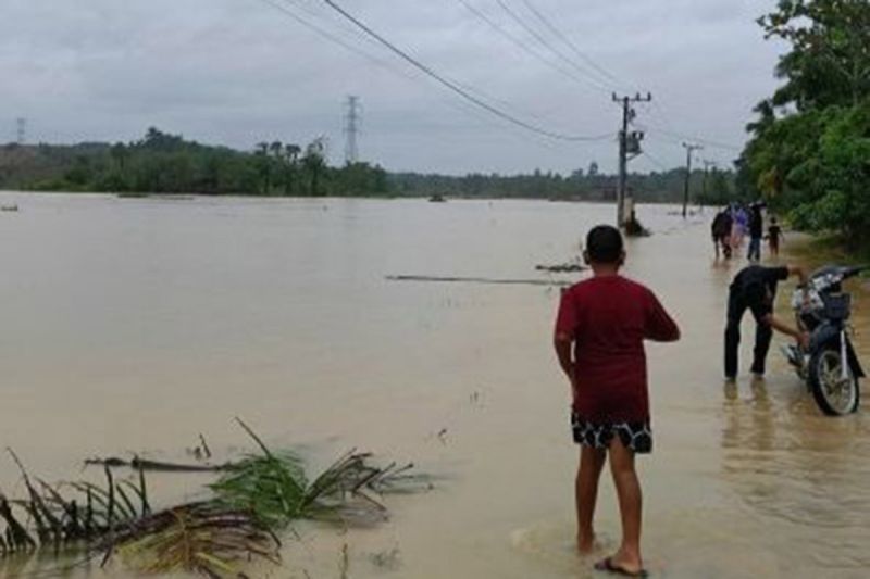 Puluhan Ribu Hektare Tambak Rakyat di Aceh Rusak akibat Banjir 