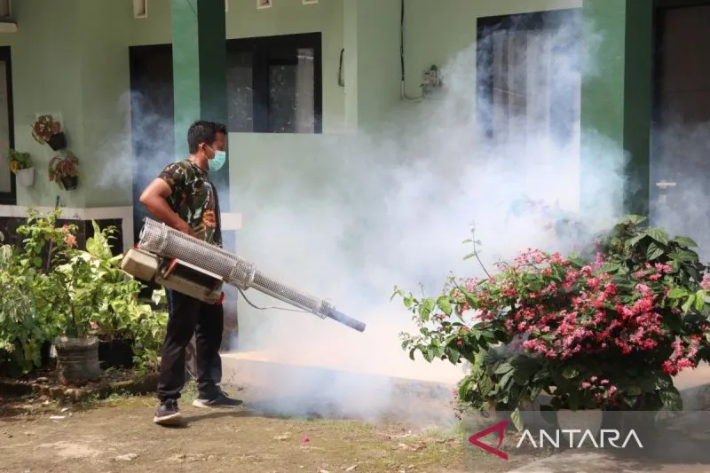 Dinkes Sumenep Tangani 70 Kasus Demam Berdarah 
