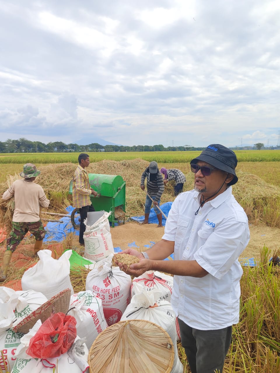 Ngegas Sejak Awal Tahun, Bulog Seluruh Wilayah Mulai Serap Gabah dan Beras Produksi Petani