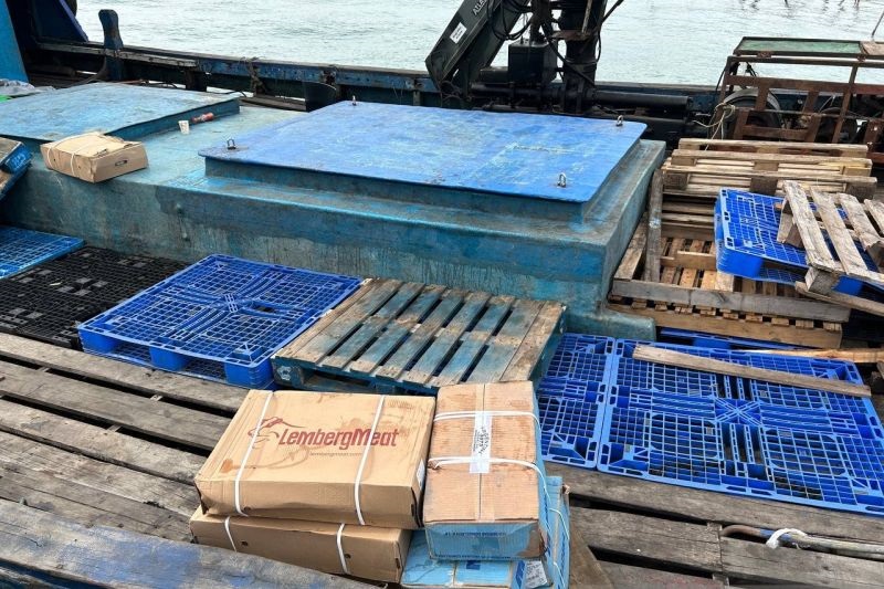 Dari Singapura ke Kepri: Skema Penyelundupan 70 Ton Daging Terkuak