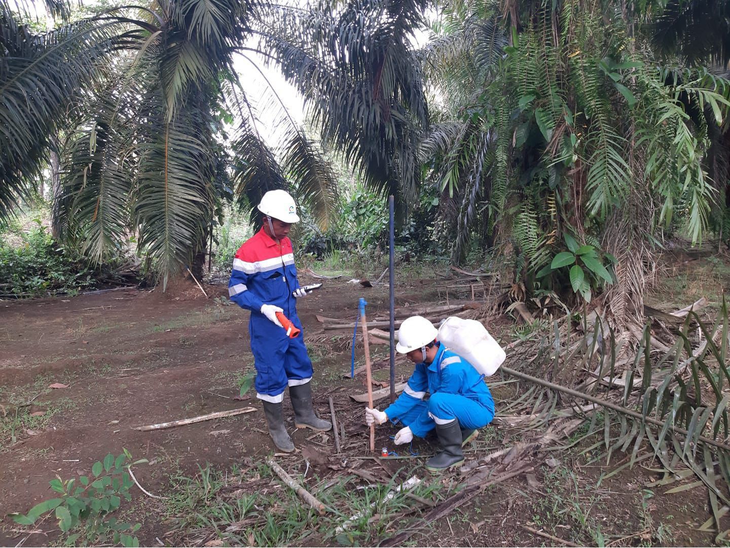 Ngegas dari Awal Tahun, Elnusa Percepat Jasa Eksplorasi Migas di Indonesia Timur dengan Penguatan Teknologi Seismik