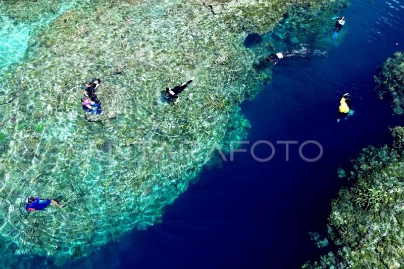 Indonesia Tegaskan Kelanjutan Program Konservasi Terumbu Karang dengan AS