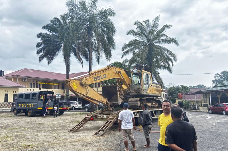 Tambang Emas Ilegal Disorot, ESDM–PPATK Bidik Aliran Dana Ratusan Triliun