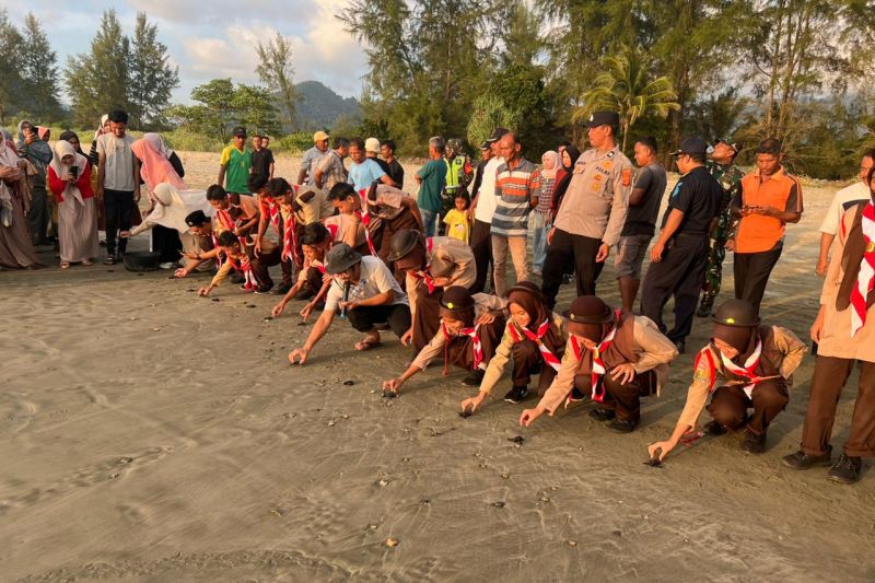 Kelompok Konservasi Penyu Blangmee Lepas 90 Tukik ke Laut Aceh