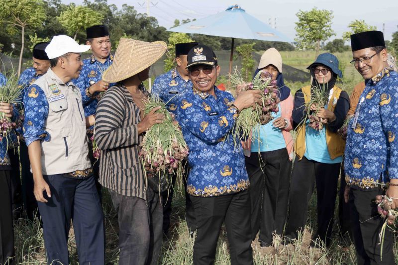 Pemkot Tangerang Perluas Gerakan Urban Farming demi Kemandirian Pangan