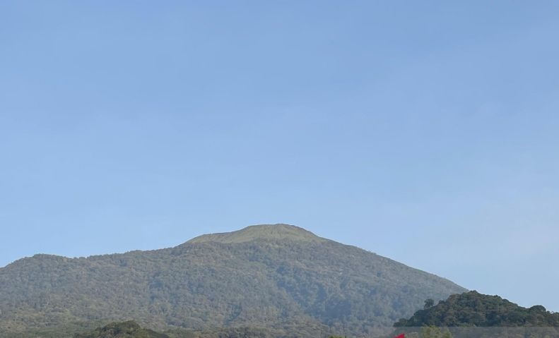 Bantah Isu Mandek, BTNGC Lanjutkan Rehabilitasi Hutan Gunung Ciremai