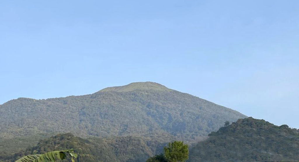 Pemulihan Ekosistem di Gunung Ciremai Terus Berkelanjutan
