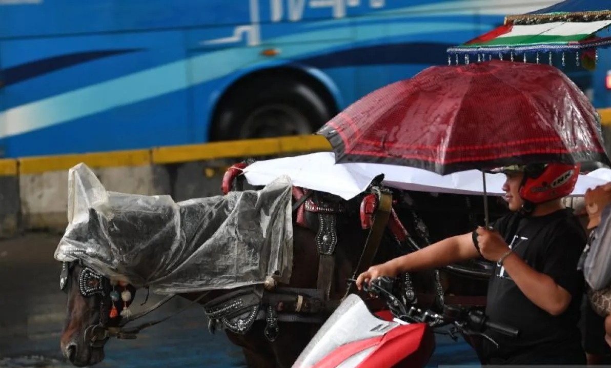 BMKG Prakirakan Hujan Guyur Jakarta Siang hingga Sore, Warga Diminta Antisipasi Aktivitas Luar Ruangan