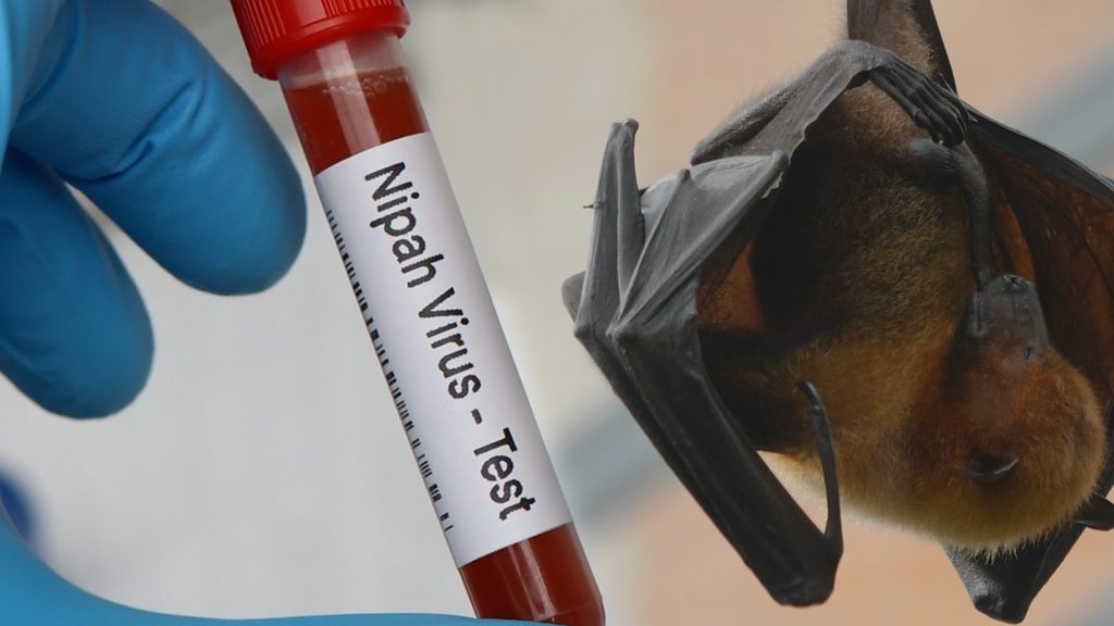 Asal Mula Nama Virus Nipah yang Merebak di India