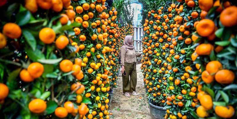 Imlek dan Ramadan jadi Momentum Dorong Konsumsi Masyarakat pada Produk UMKM