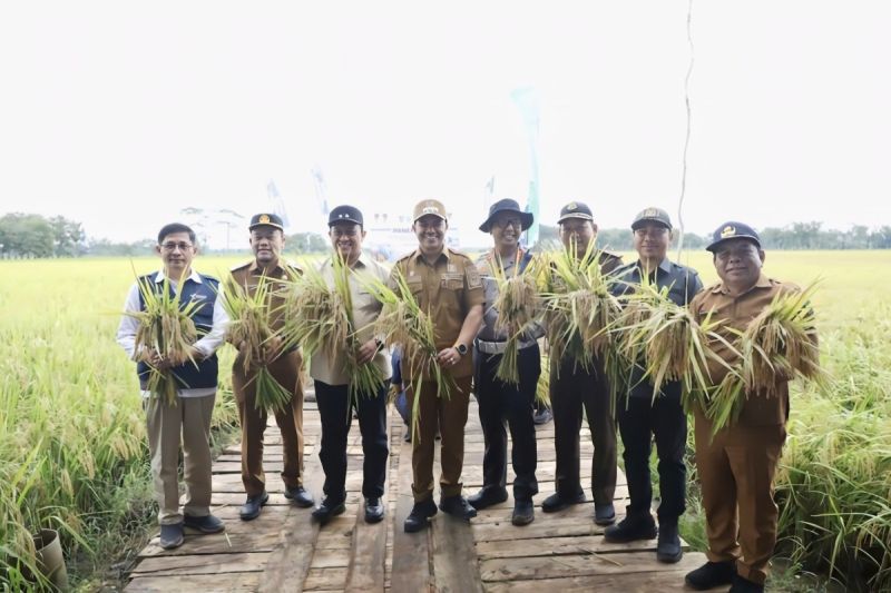 Gaspol dari Lahan Kosong: Kalimantan Tengah Bidik 21 Ribu Hektare Cetak Sawah Rakyat