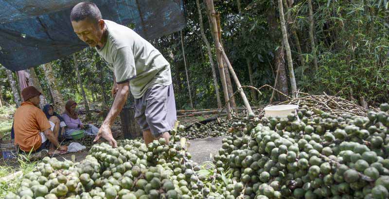 Kolang-kaling Jadi Buruan Warga di Pasar Induk Kramat Jati saat Ramadan