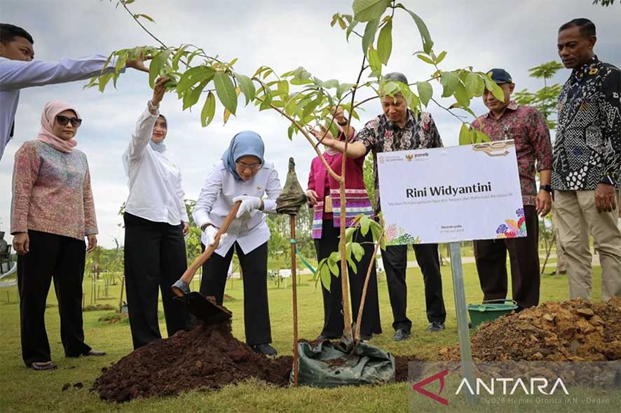 Otorita Ingin Bangun Kawasan Kota Hutan Berkelanjutan