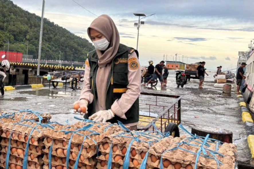 Pengawasan Pasokan Logistik di Bandara dan Lima Pelabuhan oleh Karantina Sulut