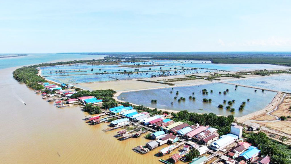 Berau-YKAN Kolaborasi Berdayakan Perempuan Lestarikan Mangrove