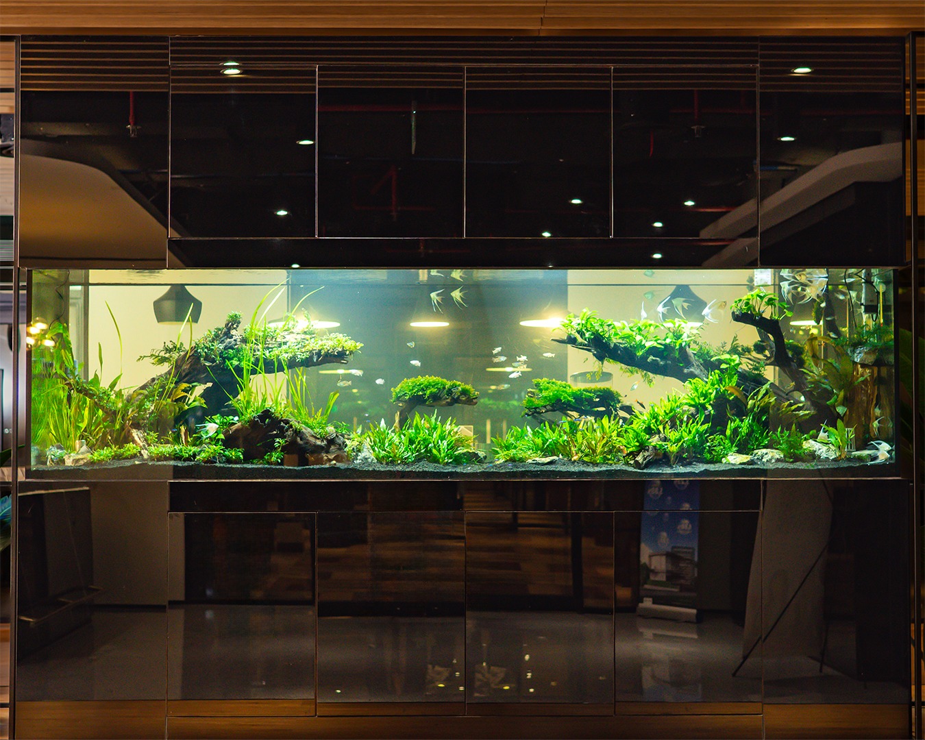 Bukan Sekadar Estetik, Cek Tren Pasang Aquarium di Kantor Jakarta Biar Kerja Lebih Rileks