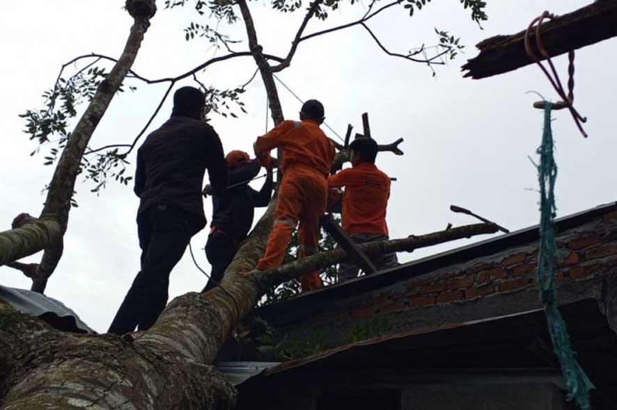 Waspadai Potensi Angin Kencang di Wilayah Rejang Lebong