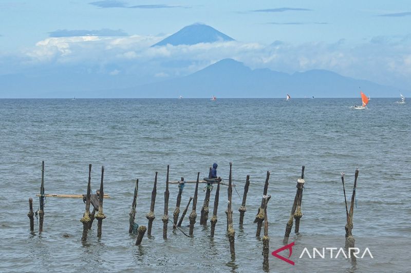 Sepekan ke Depan, NTB Berpotensi Diguyur Hujan Lebat dan Petir