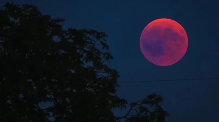 BMKG: Gerhana Bulan Total Hiasi Langit Indonesia pada 3 Maret