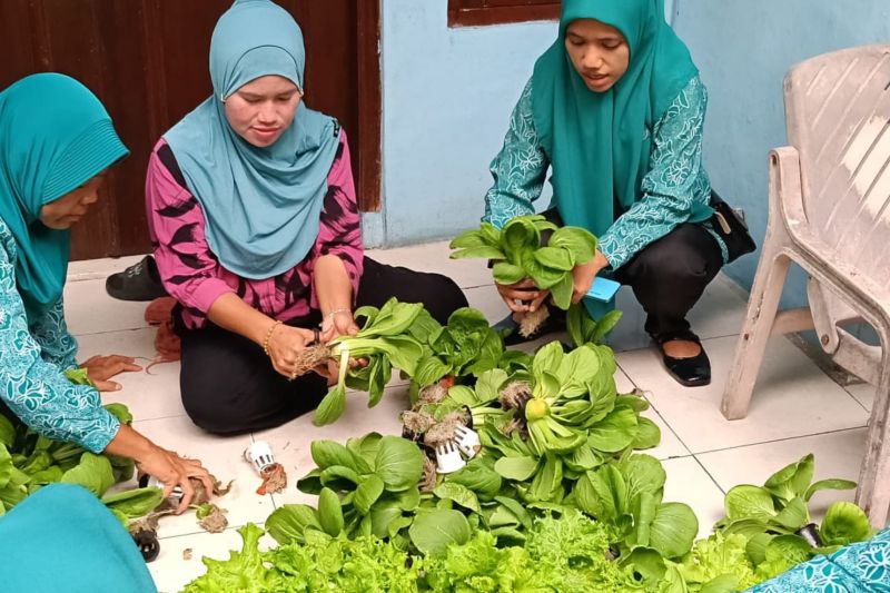 Bangun Ketahanan Pangan, Pemkab Kepulauan Seribu Edukasi Warga Agar Mandiri dan Produktif