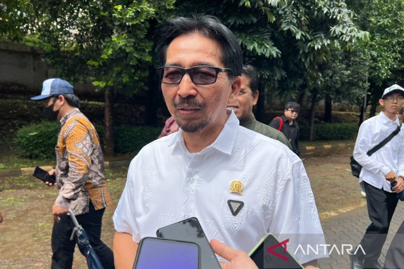 Imbas Kenaikan Harga CPO Global, Bapanas Kaji HET Minyakita 