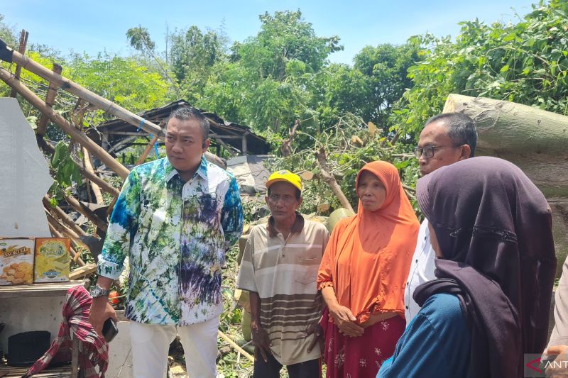 Cuaca Buruk, Sejumlah Rumah di Situbondo Rusak Tertimpa Pohon Tumbang