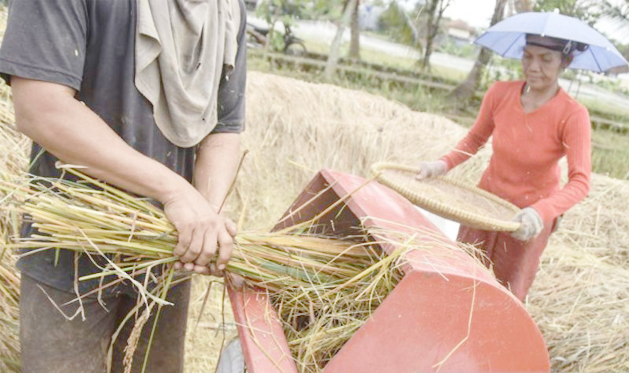 Waspada, Inflasi Jabar Terancam Meledak 1 Persen, Harga Beras Jadi 'Bom Waktu' Menuju Lebaran
