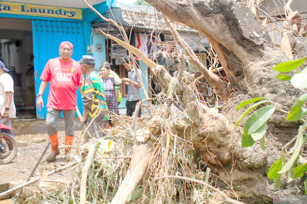Situbondo Mencekam, Banjir Bandang Terjang 6 Kecamatan, 2 Warga Hilang Misterius Terseret Arus