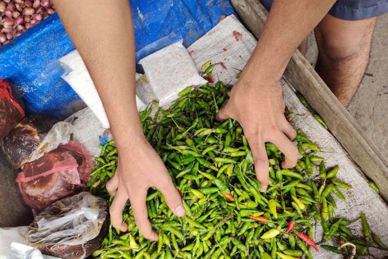 Lampung Ajak Warga Belanja Sewajarnya, Tak Perlu Panic Buying