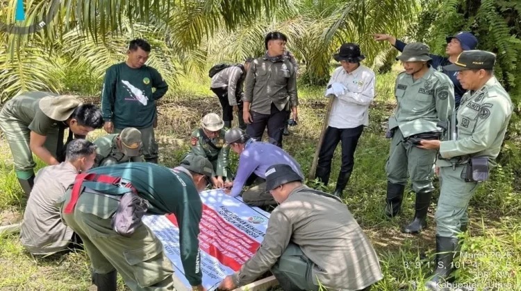 Kemenhut Target Pulihkan 80 Ribu Hektare Habitat Gajah di Bengkulu