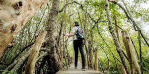 Kemenpar Tekankan Pentingnya Sertifikasi bagi Industri Pariwisata
