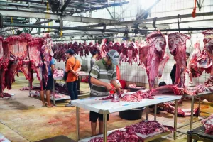 Bapanas Pastikan Harga Daging Sapi di Pasaran Masih Sesuai Harga Acuan Penjualan