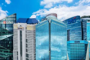 Penilaian Fitch Dianggap Parsial, Bank Swasta Tak Tersentuh