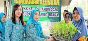 PKK Barito Utara dan Dinas KPP Perkuat Ketahanan Pangan Keluarga Manfaatkan Lahan Pekarangan