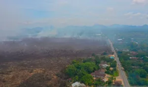 WALHI Kalbar Catat 1.316 Titik Panas Karhutla di Lahan Gambut Sepanjang Februari 2026