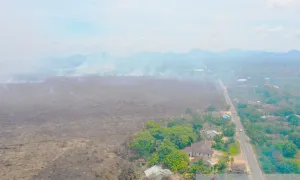 WALHI Kalbar Temukan 1.316 Titik Panas Karhutla di Lahan Gambut Sepanjang Februari 2026