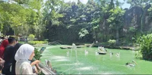 Ayo! Lebaran Asyik di Ragunan, Tiket Murah Meriah Rp4.000 Dewasa dan Rp3.000 Anak-anak