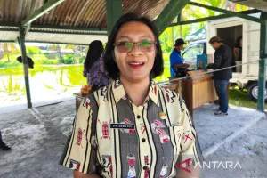 Pemkab Nabire Pulihkan Populasi Babi Pasca Wabah ASF, Peternak Dapat Bantuan Bibit