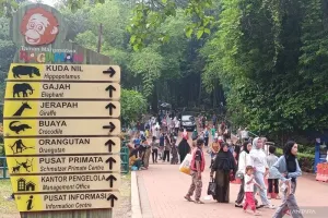 Libur Lebaran 2026, Ragunan Prediksi akan Dikunjungi 400.000 Wisatawan 