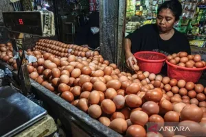 Harga Telur Ayam Rp33.050/Kg, Bawang Merah Rp44.100/Kg