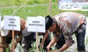 Pemkab Batola, Kalsel, Targetkan Optimasi Lahan Rawa untuk Pertanian 1.696 ha