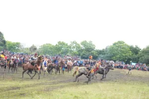 Tradisi Pasola Gaura di Sumba Bawa Dampak Ekonomi bagi Warga