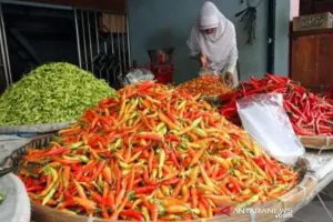 Cabai dan Daging Picu Gejolak Harga, 25 Provinsi Alami Kenaikan IPH