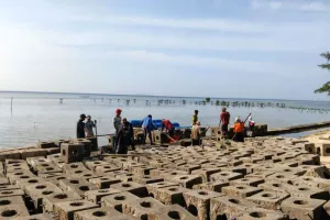 KPKP Kepulauan Seribu Tenggelamkan 600 Modul Terumbu Karang di Perairan Pulau Pari