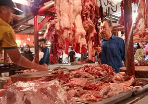 Jelang HBKN, Pengawasan Pangan Diperketat: Aparat Amankan Daging Impor Tak Layak Konsumsi