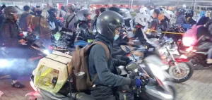Pemudik ke Lampung Bawa Kucing Peliharaanya, Ternyata Ini Alasannya