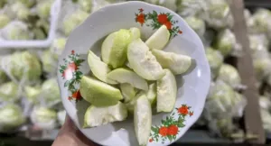 Jambu kristal Jadi Pilihan Pemudik untuk Perjalanan di Jalur Pansela