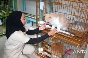 Jasa Penitipan Hewan di Kediri Ramai Menjelang Lebaran 2026